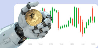 Rimba Nilaitama cryptocurrency exchange platform dashboard view